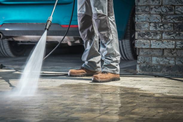 Best Soft Washing  in Gotha, FL