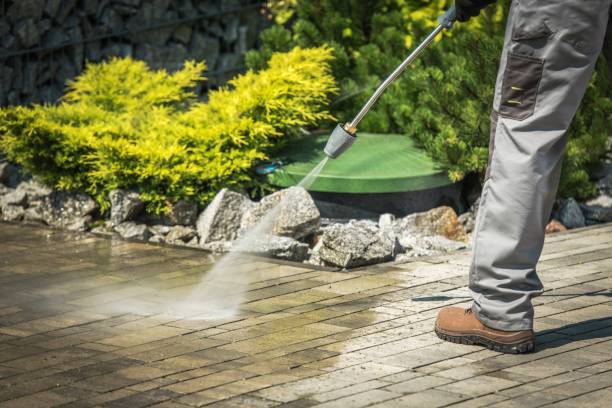 Best House Exterior Washing  in Gotha, FL