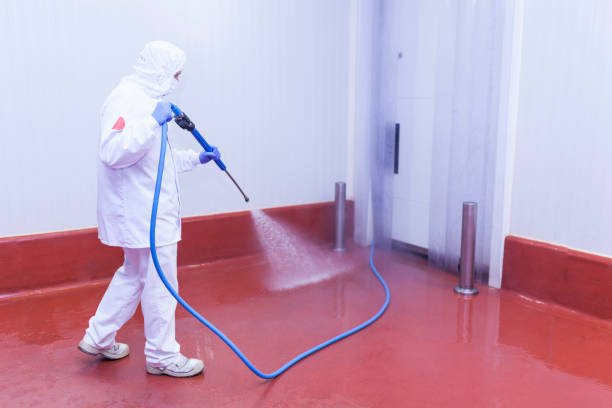 Best Warehouse Cleaning  in Gotha, FL