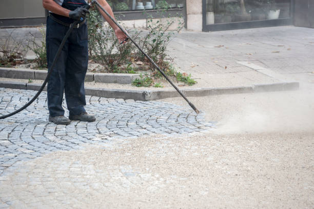 Best Driveway Pressure Washing  in Gotha, FL